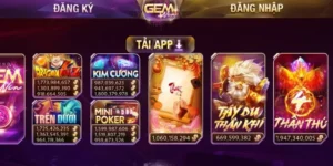 GEMWIN
